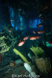 The Space Within
Wreck Lesleen is off Tai Kaye Village S... by Karl Hodgkins 